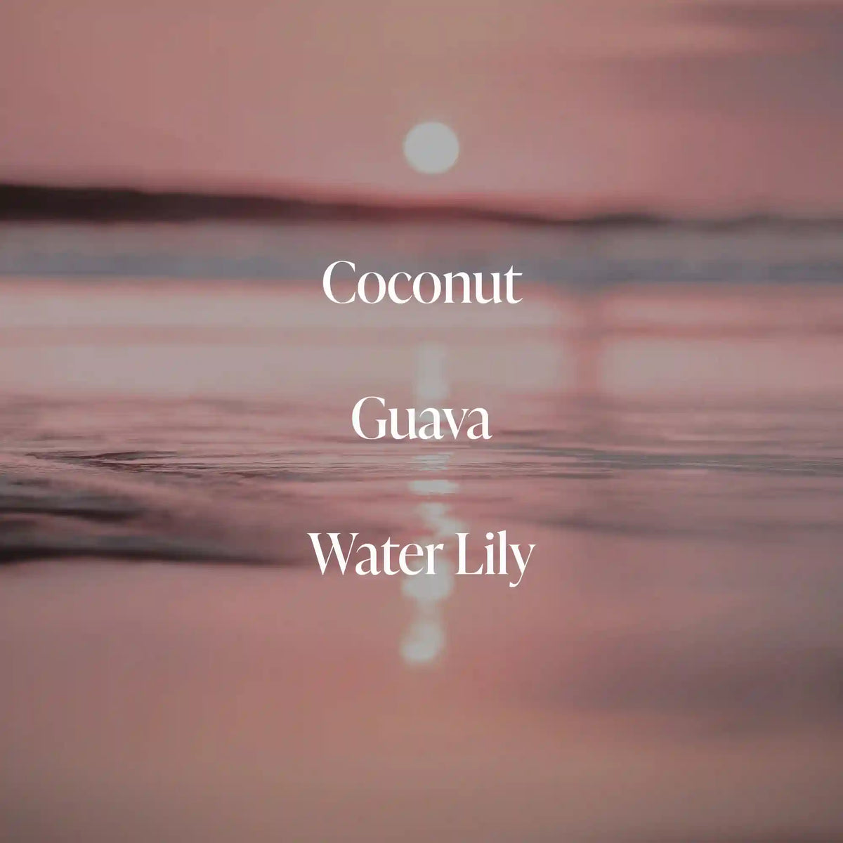 Coral Coast- Body Mist