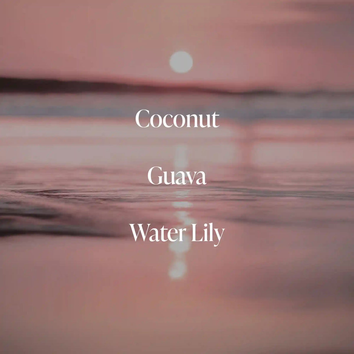 Coral Coast - Body Scrub